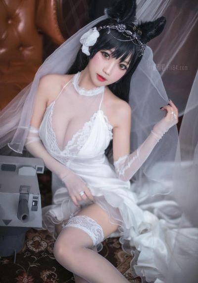 法证先锋6国语版免费高清