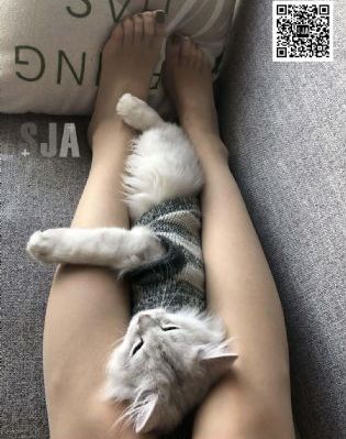 蚀 电影