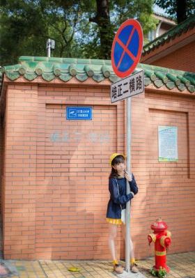 英雄电视剧燕双鹰