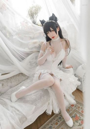 追光的日子电视剧免费观看